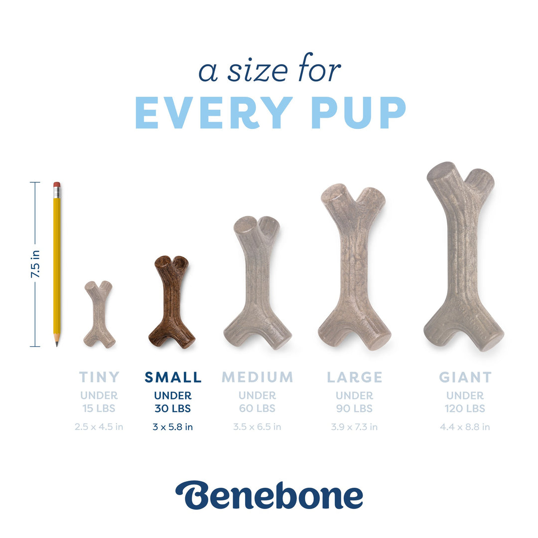 Benebone Small Puppy Maplestick