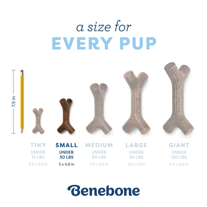 Benebone Small Puppy Maplestick