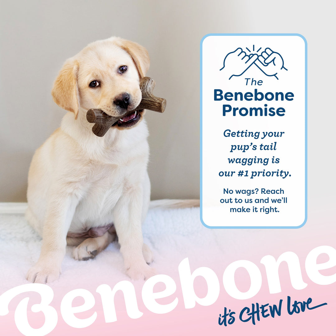 Benebone Small Puppy Maplestick