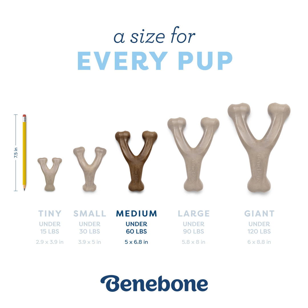 Benebone Puppy Wishbone Bacon Medium