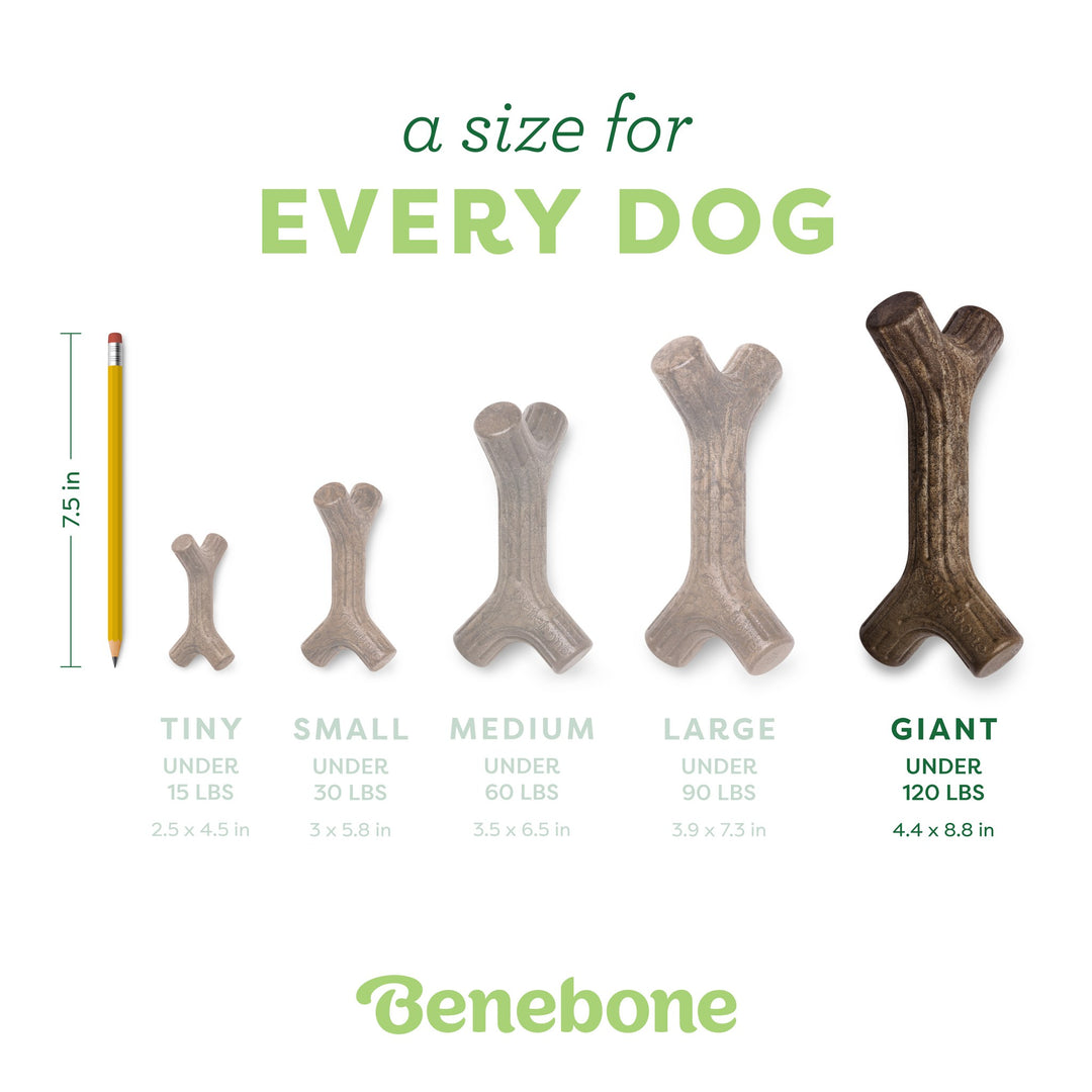 Benebone MapleStick Giant
