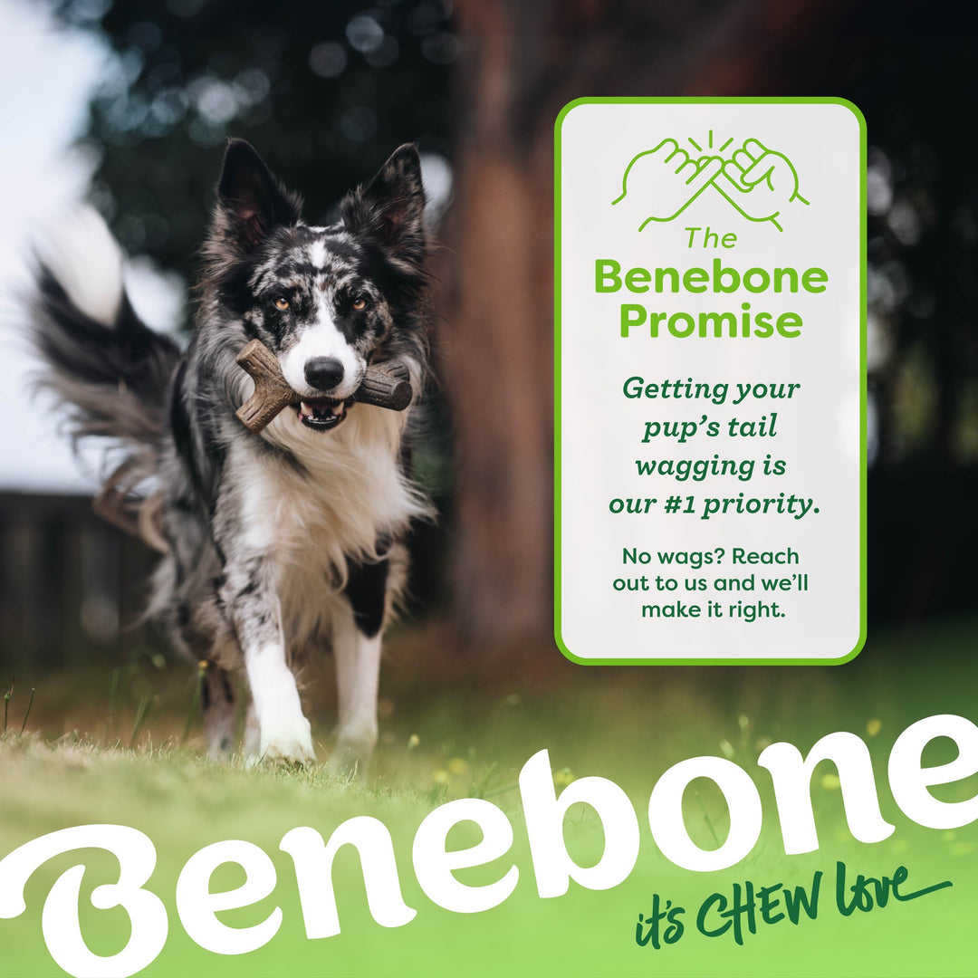 Benebone MapleStick Giant