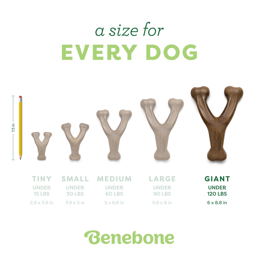 Benebone Wishbone Giant Peanut Butter