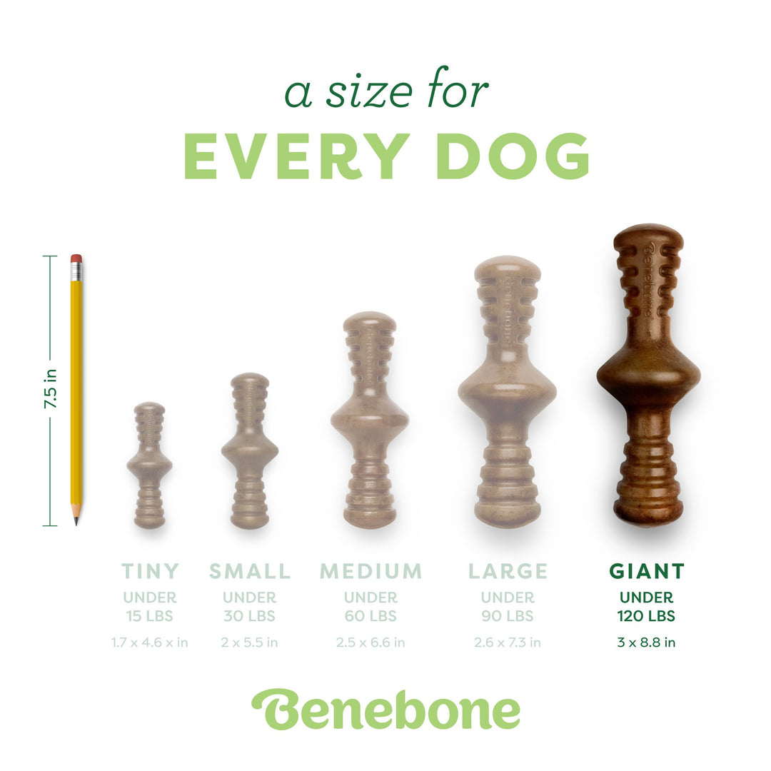 Benebone Zaggler Bacon Giant