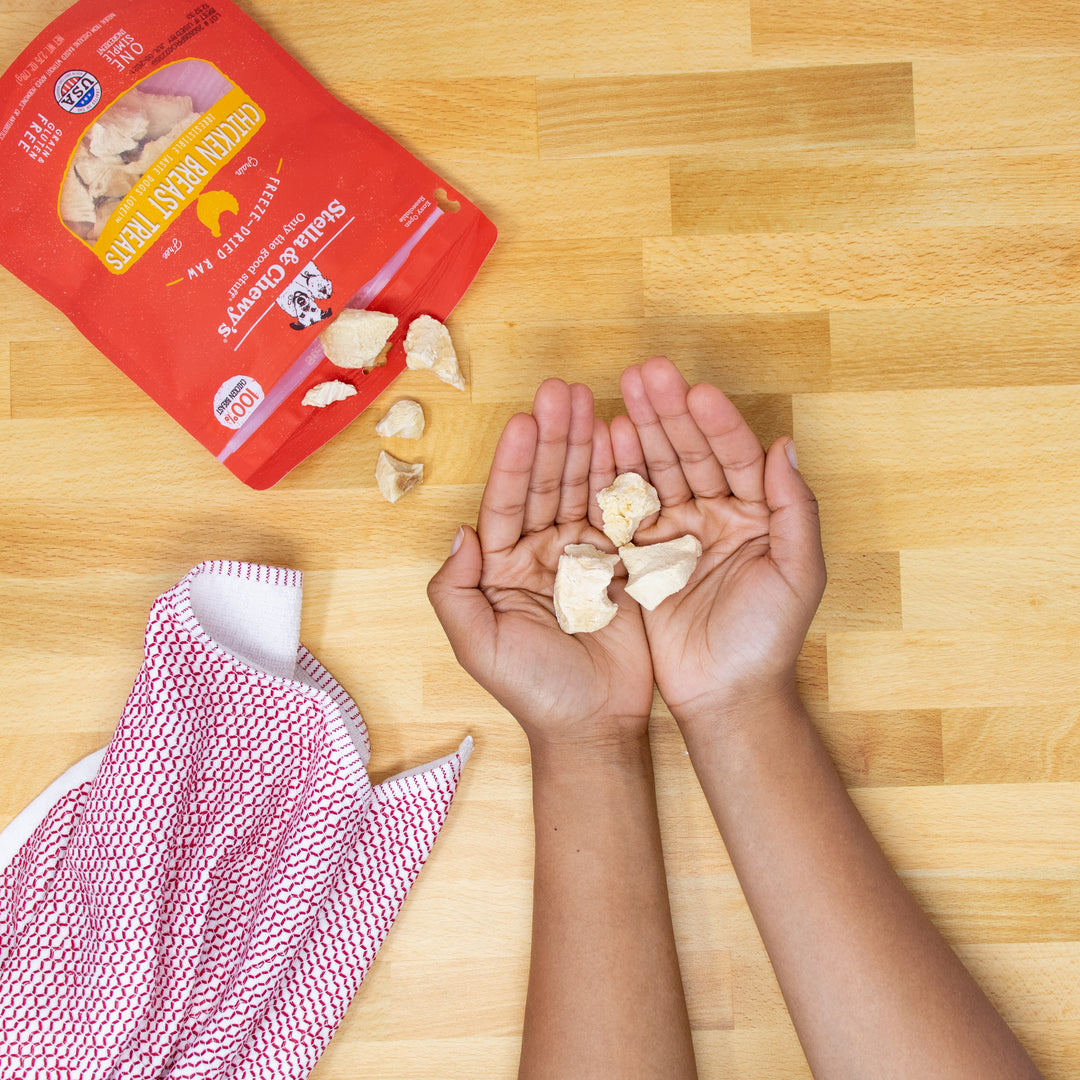 Single Ingredient Treats Chicken Breast - 2.75 oz