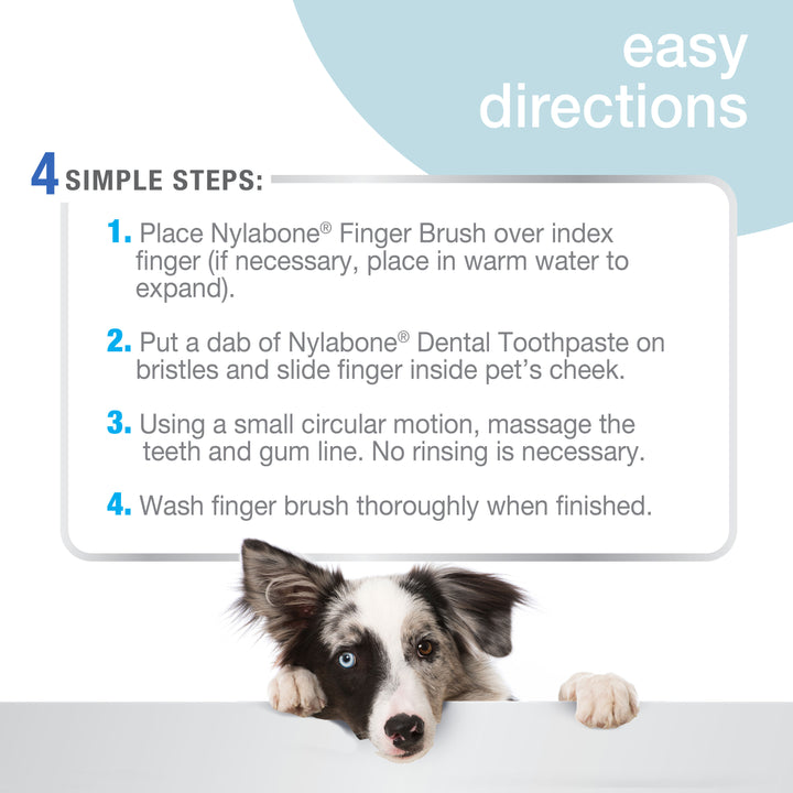 Nylabone Advanced Oral Care Finger Brush Original (2 Count)