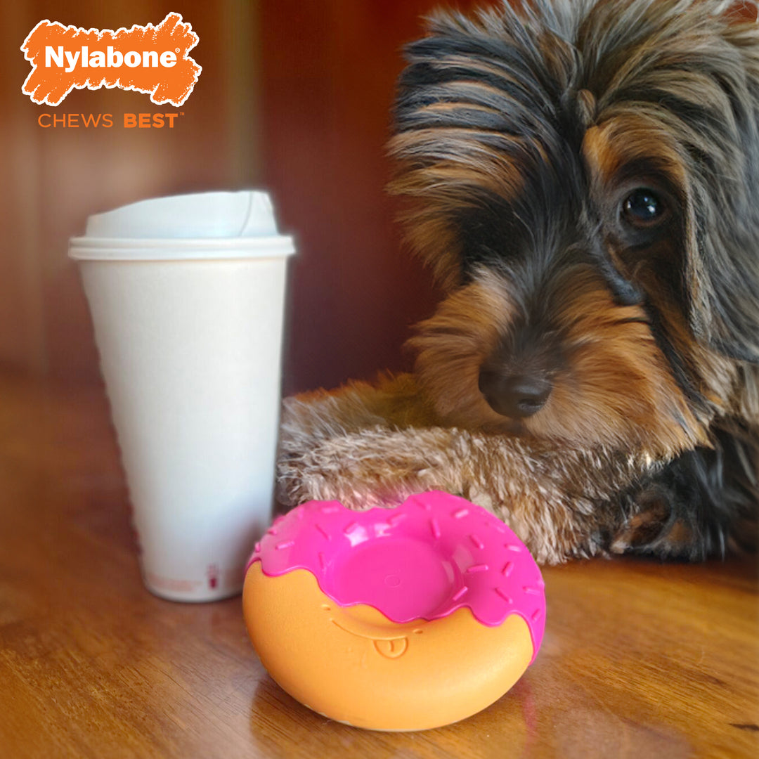 Nylabone Power Chew Donut Dog Chew Toy Bacon Glazed Medium (1 Count)