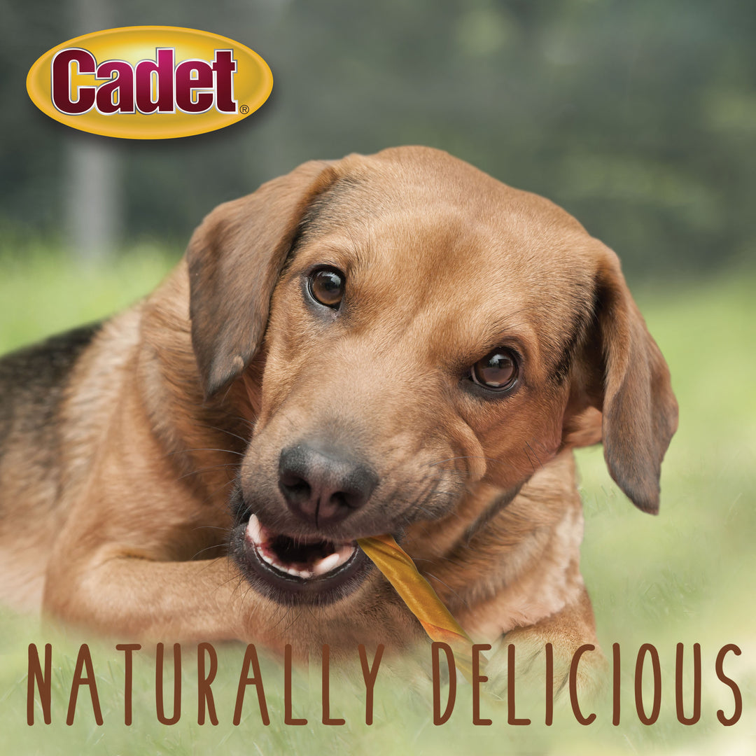 Cadet Choice Chews No Rawhide Dog Chew Twists Peanut Butter 6.35 Ounce (15 Count)