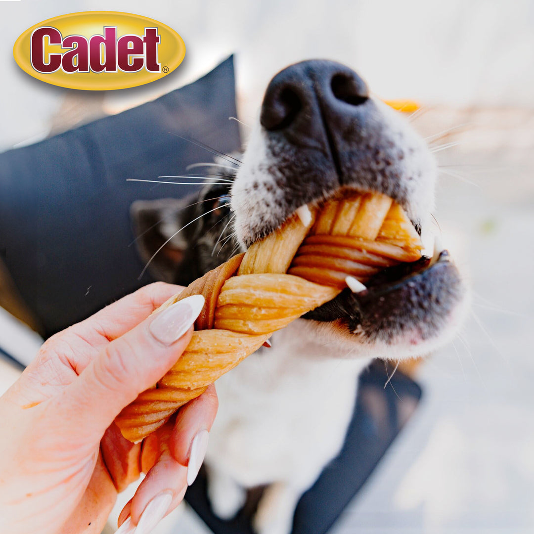 Cadet Chewalicious Chewy &