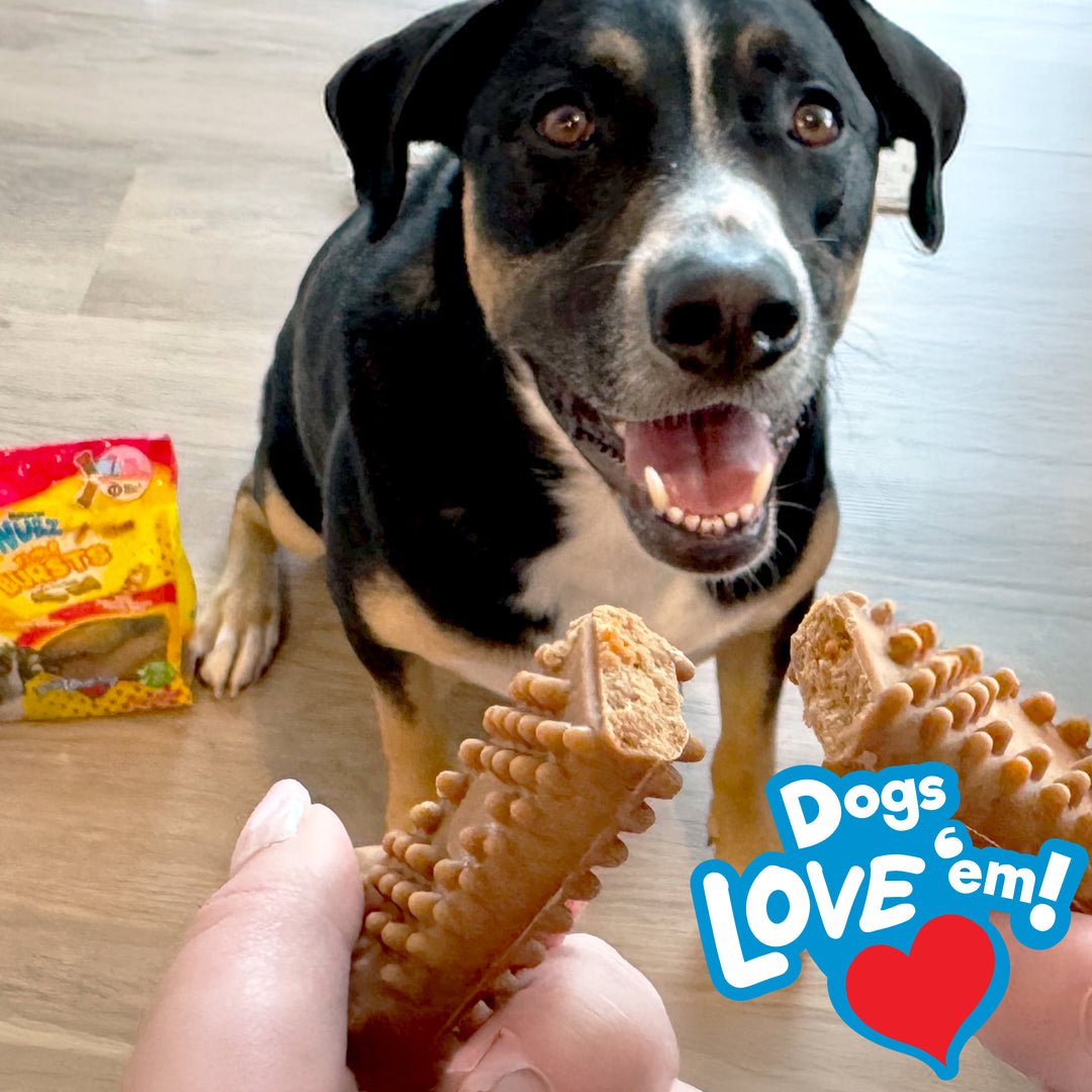 Nylabone Nubz Flavor Bursts Dog Chew Treats Bacon &amp; Cheese Large (7 Count)