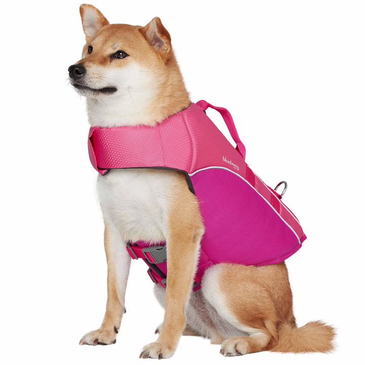 BlueBerry Pet Reflective Dog Life Jacket / Pink and Fuchsia / Small / Blue and Brillant Yellow / Small / Blue and Brillant Yellow / XSmall / Pink and Fuchsia / Small / Pink and Fuchsia / Small / Pink and Fuchsia / Small / Pink and Fuchsia / XSmall