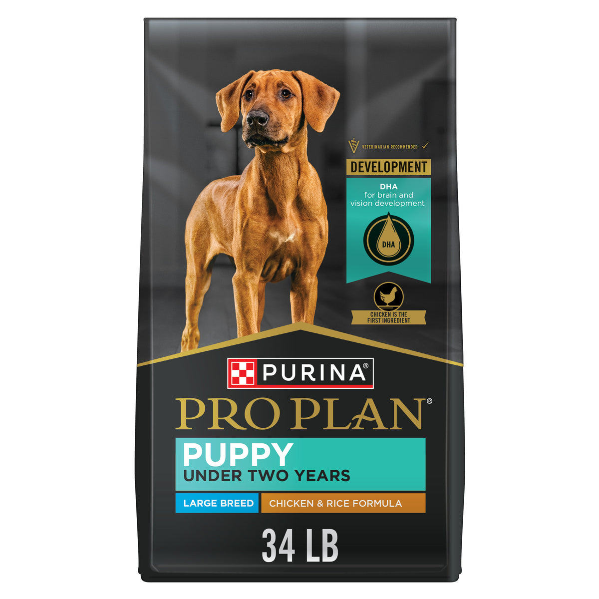 Pro Plan Large Breed Puppy 34 lb.