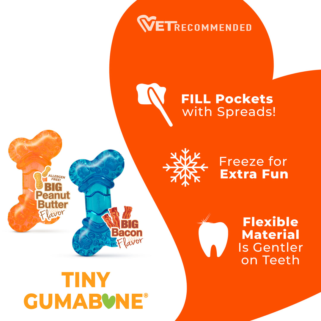 Nylabone Flexi Chew Bone Dog Chew Toy Peanut Butter &amp; Bacon Orange &amp; Blue XX-Small (2 Count)