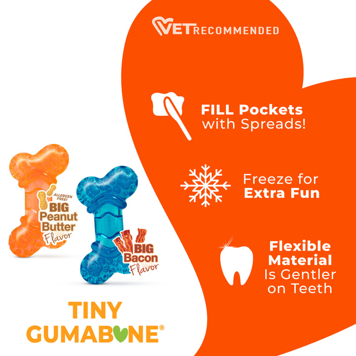 Nylabone Flexi Chew Bone Dog Chew Toy Peanut Butter &amp; Bacon Orange &amp; Blue XX-Small (2 Count)