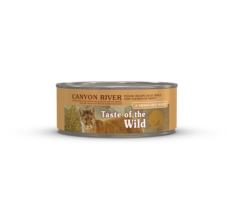 Taste of the Wild Canyon River Trout and Salmon in Gravy Grain Free Wet Cat Food 3 oz