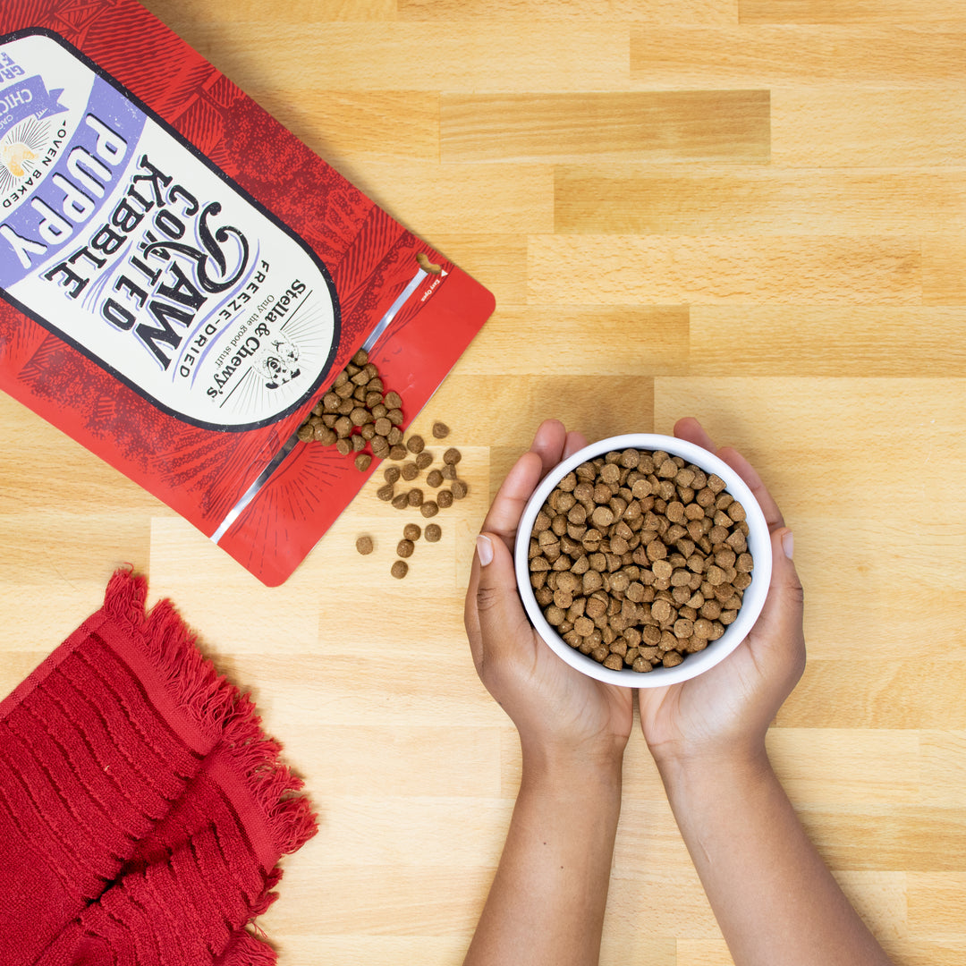 Kibble Raw Coated Chicken Puppy - 3.5 lb