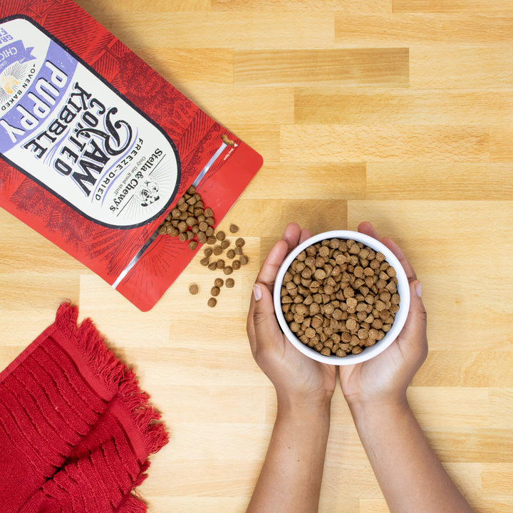 Kibble Raw Coated Chicken Puppy - 3.5 lb