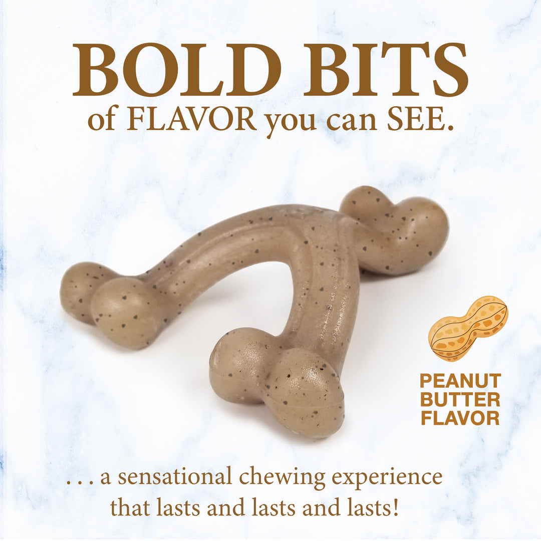 Nylabone Strong Chew Gourmet Style Wishbone Puppy Chew Toy Peanut Butter Small (1 Count)
