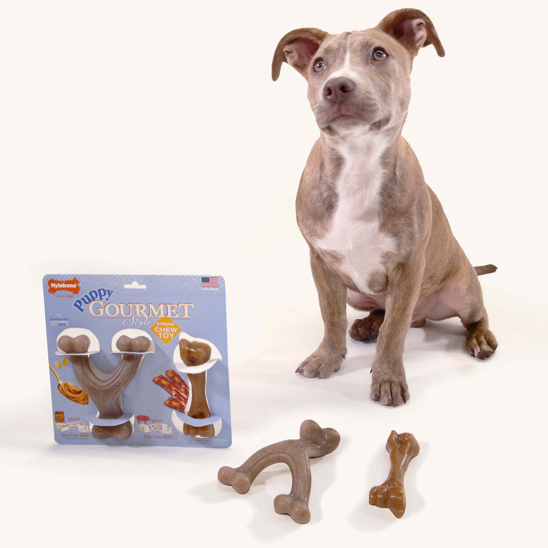Nylabone Strong Chew Gourmet Style Wishbone &amp; Femur Bone Puppy Chew Toys Peanut Butter &amp; Bacon Small (2 Count)