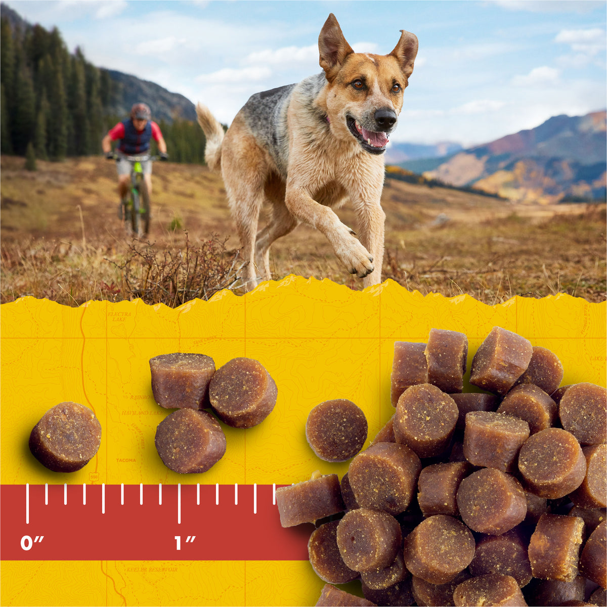 Zukes Mini Naturals Rabbit Dog Treats 16 oz unpacked