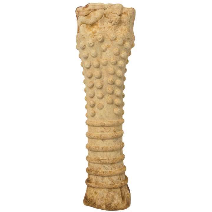 Nylabone Healthy Edibles All-Natural Long Lasting Chew Treats Turkey &amp; Apple X-Large (1 Count)