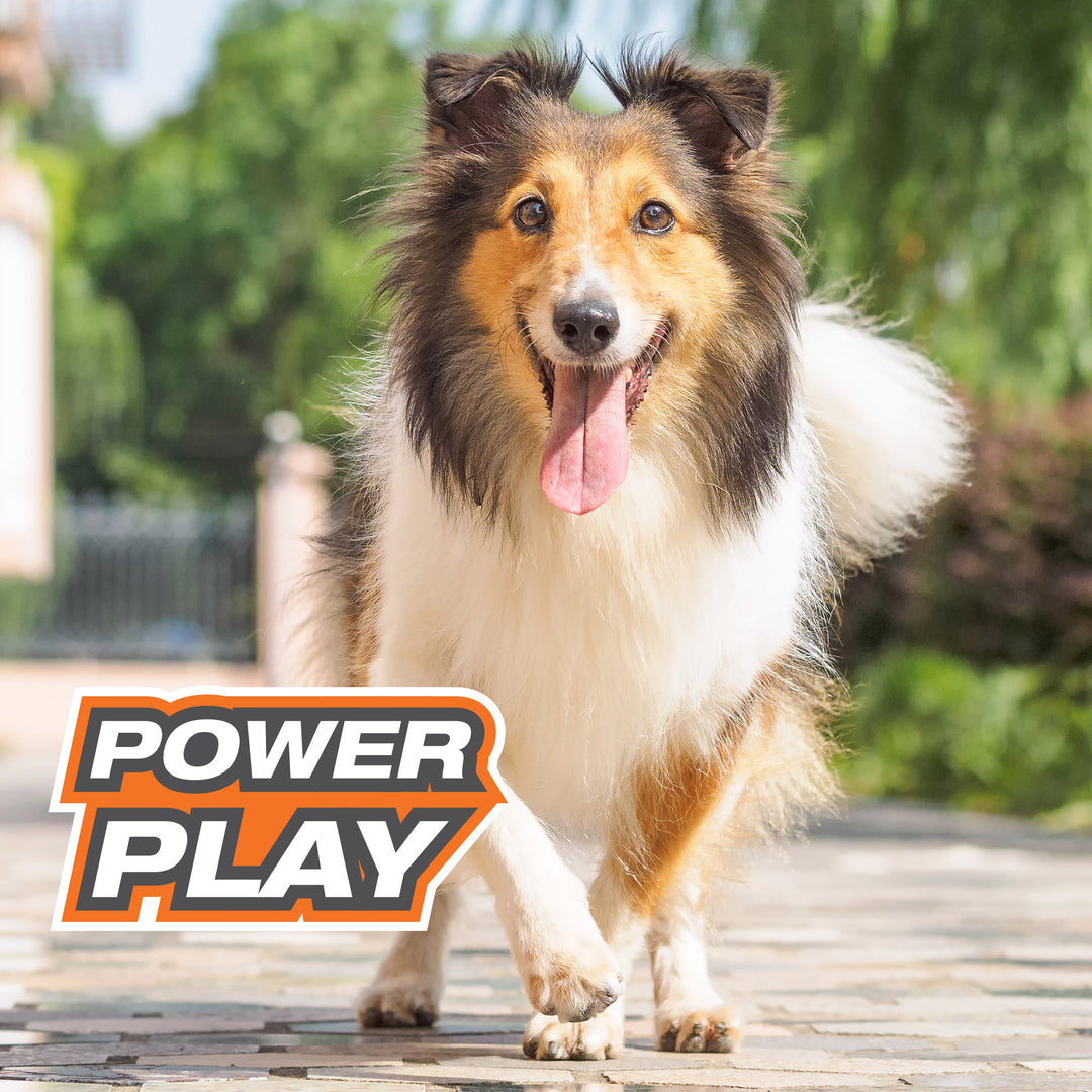 Nylabone Power Play Gripz Dog Soccer Ball Toy Medium (1 Count)