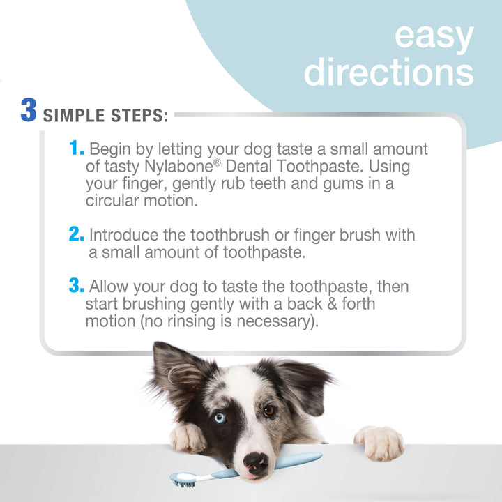 Nylabone Advanced Oral Care Dog Dental Kit Original 2.5 Ounce (3 Count)