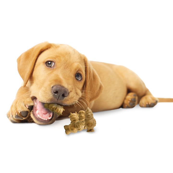 Nylabone Healthy Edibles All-Natural Long Lasting Puppy Chew Treats Lamb &amp; Apple Small (4 Count)
