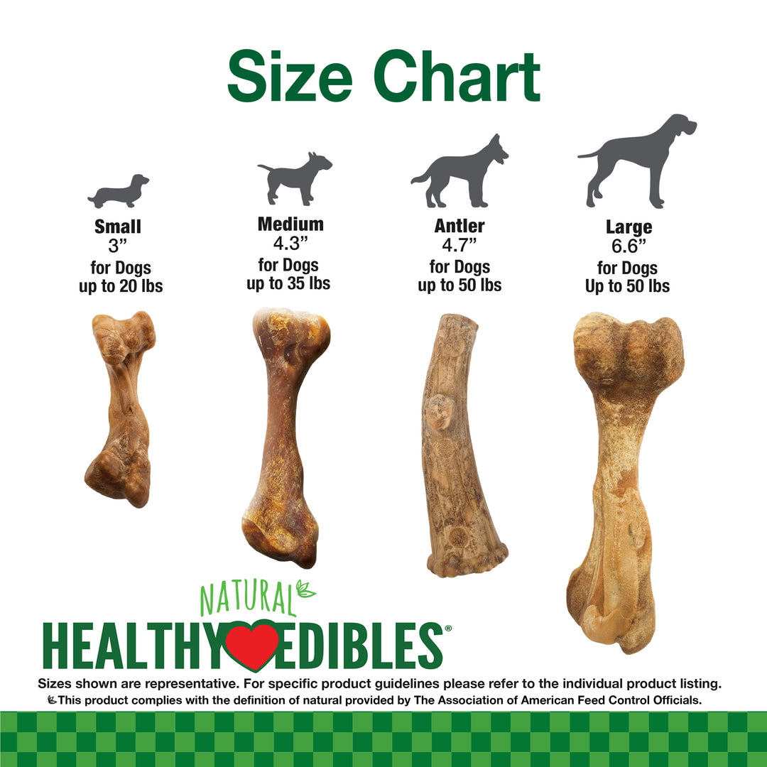 Nylabone Healthy Edibles Broth Bone All-Natural Long Lasting Chew Treats Ham Large (1 Count)