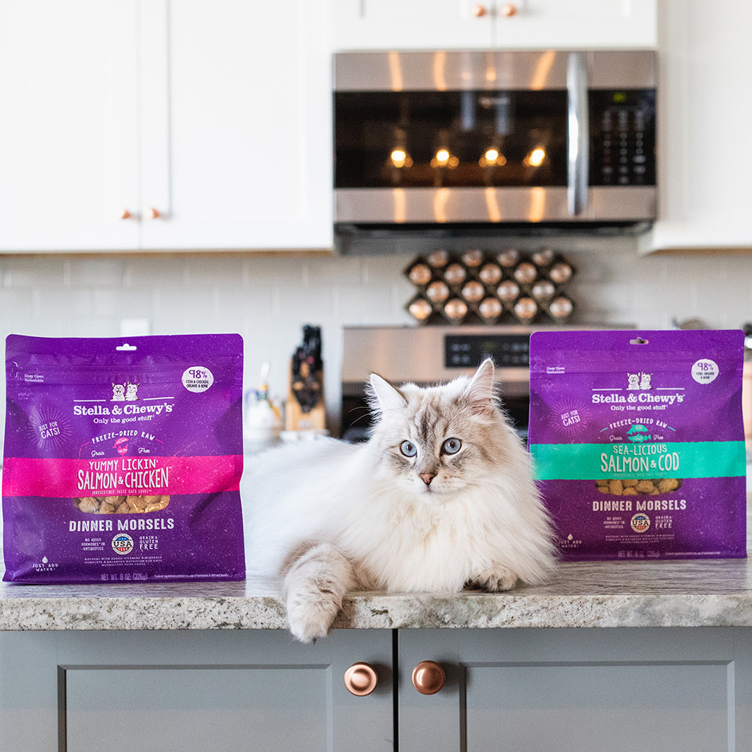 Freeze-Dried Yummy Lickin Salmon &amp; Chicken Morsels - 8 oz