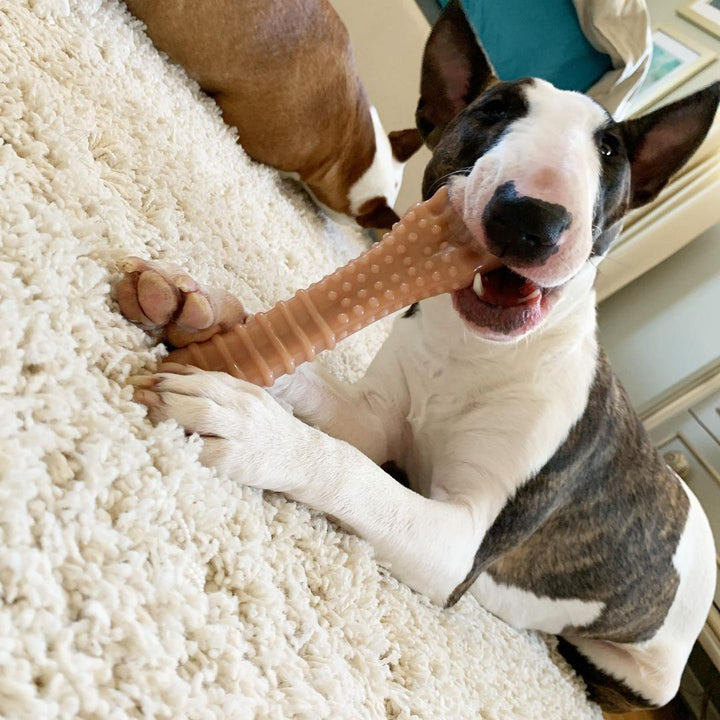 Nylabone Power Chew Textured Knuckle Bone Dog Chew Toy Bacon X-Large (1 Count)