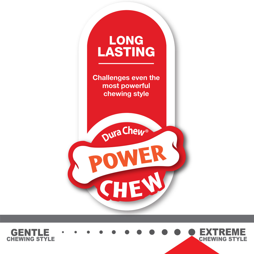 Nylabone Power Chew Shish Kabob Alternative Nylon Chew Toy Chicken Large/Giant - Up to 50 lbs. (1 Count)
