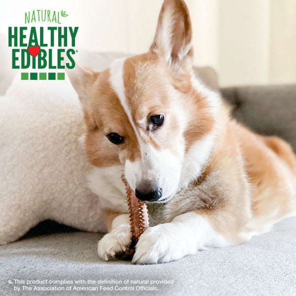 Nylabone Healthy Edibles Meaty Center All-Natural Long Lasting Chew Treats Beef Small (12 Count)