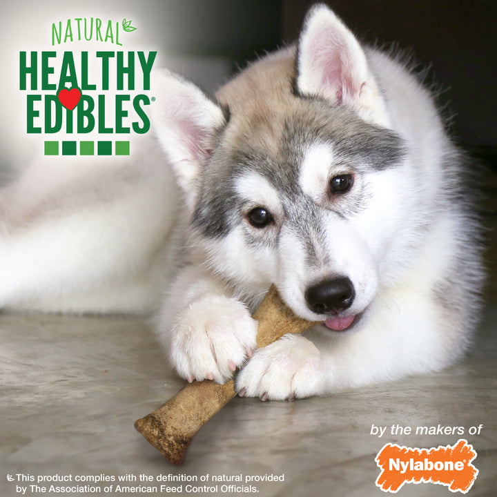 Nylabone Healthy Edibles All-Natural Long Lasting Puppy Chew Treats Lamb &amp; Apple X-Large (1 Count)