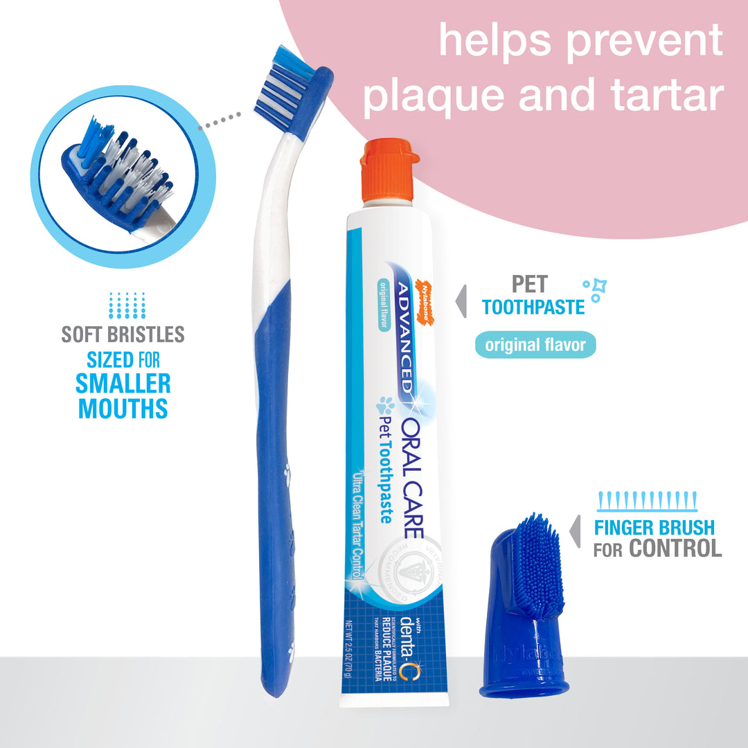 Nylabone Advanced Oral Care Puppy Dental Kit Original 2.5 Ounce (3 Count)