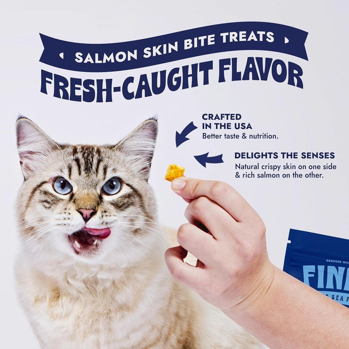Finfare Cat Freeze Dried Bites Smoked Salmon Skin 6oz