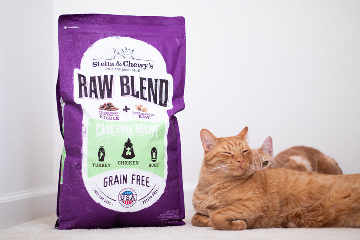 Kibble Raw Blend Cage Free - 10 lb