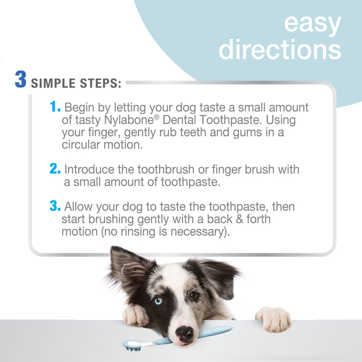 Nylabone Advanced Oral Care Tartar Control Dog Toothpaste Original 2.5 Ounce (1 Count)