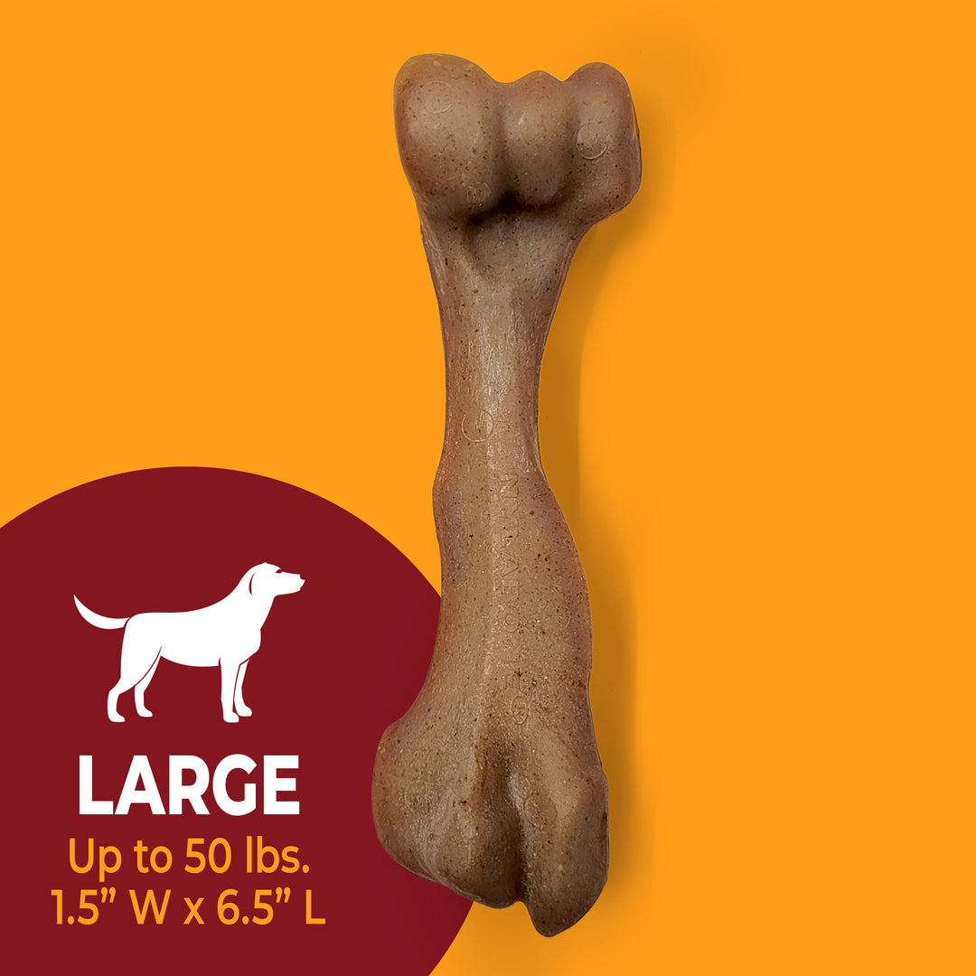 Nylabone Strong Chew Femur Bone Dog Chew Toy Made with Real Bison &amp; Venison Large (1 Count)