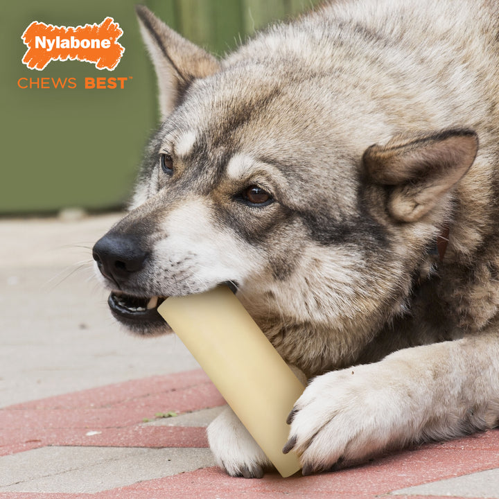 Nylabone Power Chew Giant Marrow Bone Alternative Beef Flavor Dog Chew Toy Large (1 Count)