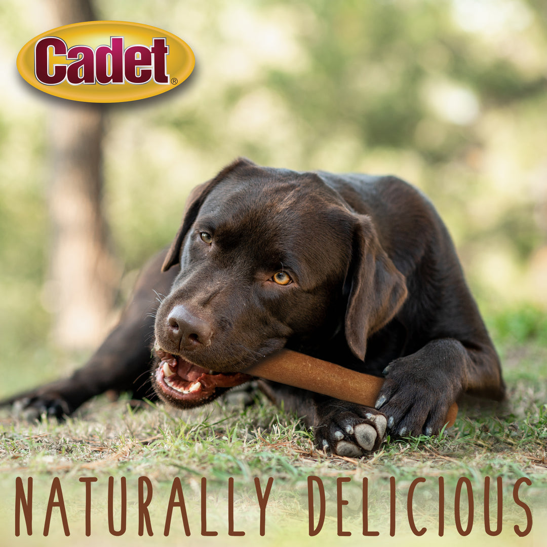 Cadet Chewalicious Rawhide-Free Natural Chewy &