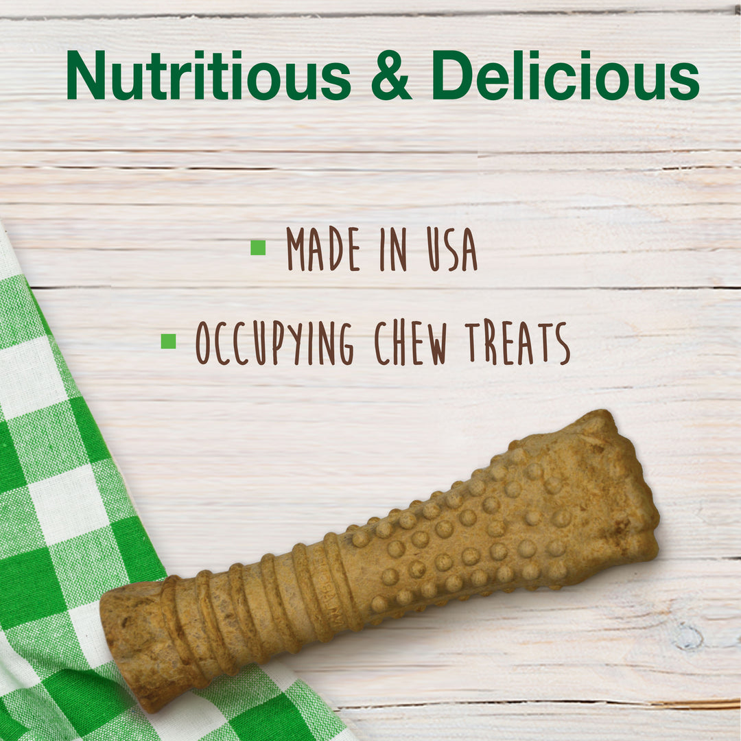 Nylabone Healthy Edibles All-Natural Long Lasting Chew Treats Peanut Butter X-Large (1 Count)