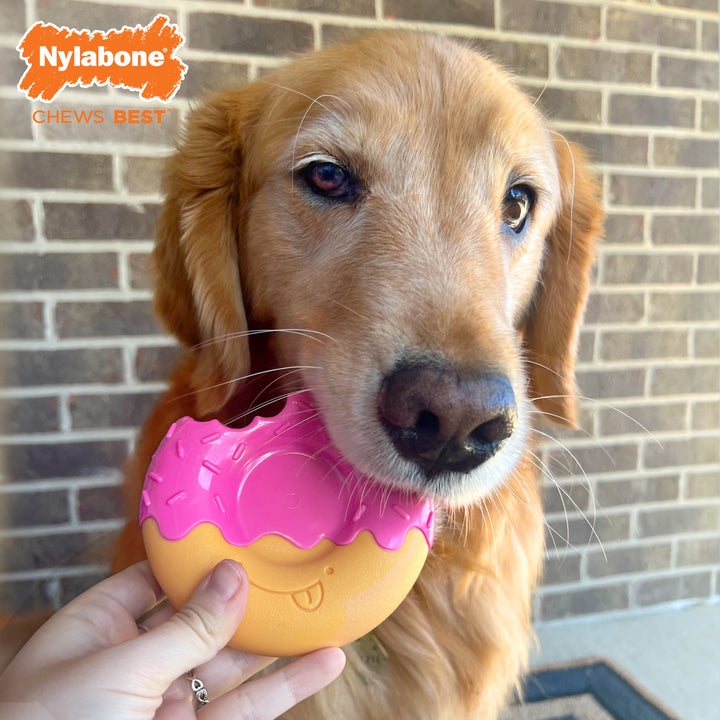 Nylabone Power Chew Donut Dog Chew Toy Bacon Glazed Large (1 Count)