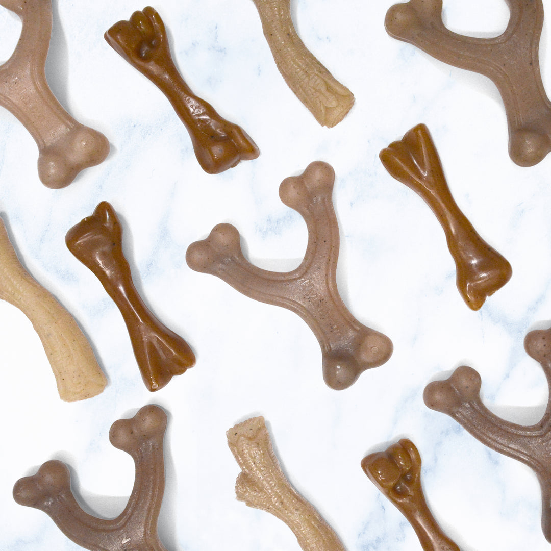Nylabone Strong Chew Gourmet Style Wishbone &amp; Femur Bone Puppy Chew Toys Peanut Butter &amp; Bacon Small (2 Count)