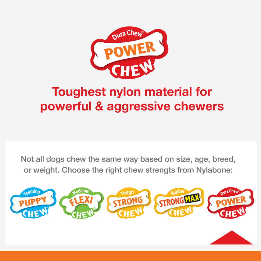 Nylabone Power Chew Ergonomic Hold &amp; Chew Wishbone Dog Chew Toy Bison Large (1 Count)