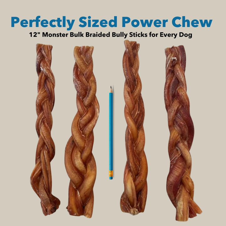 Mighty Chewz 12in Monster Braided Bully Sticks EA