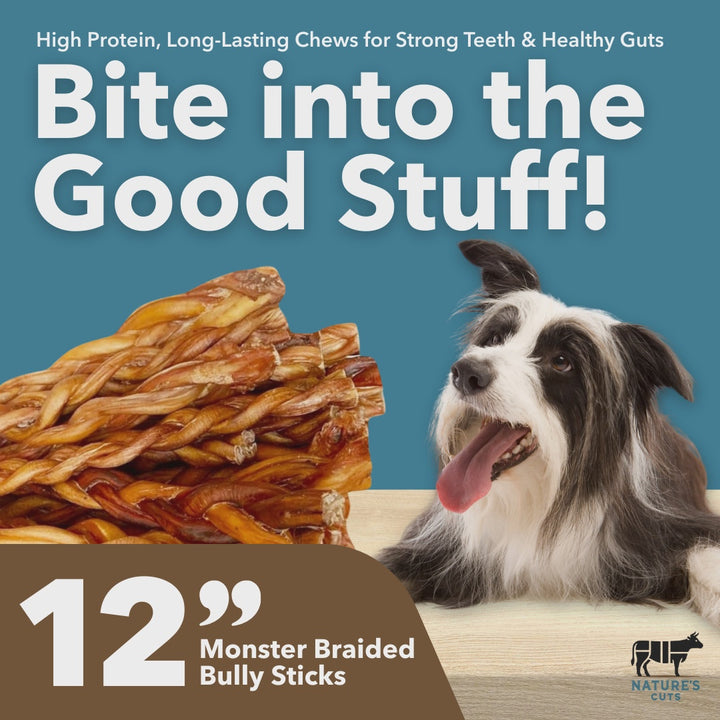 Mighty Chewz 12in Monster Braided Bully Sticks EA