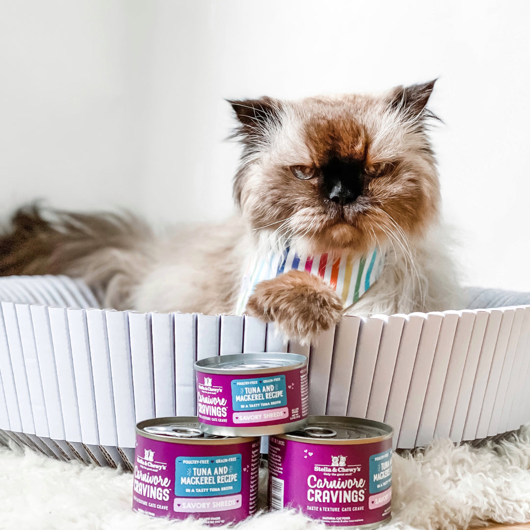 Carnivore Cravings Savory Shreds Tuna &amp; Mackerel - 5.2 oz