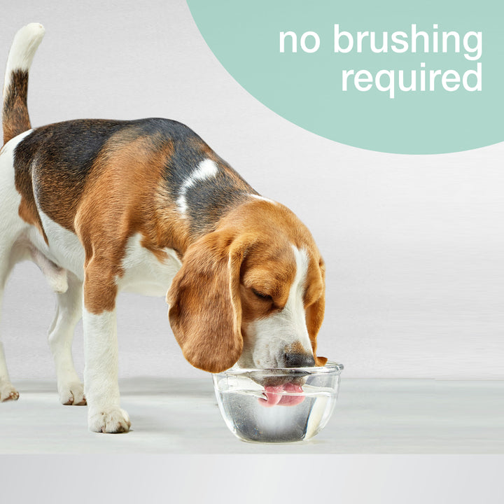 Nylabone Advanced Oral Care Water Additive for Dogs Peppermint 16 Ounce (1 Count)