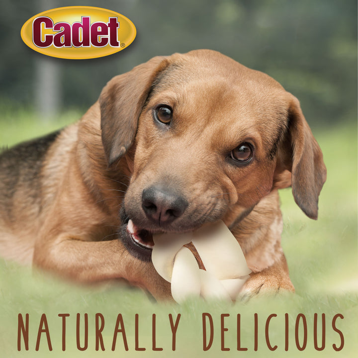 Cadet Premium Grade Braided Beef Hide Donut for Dogs 5 Inch (1 Count)
